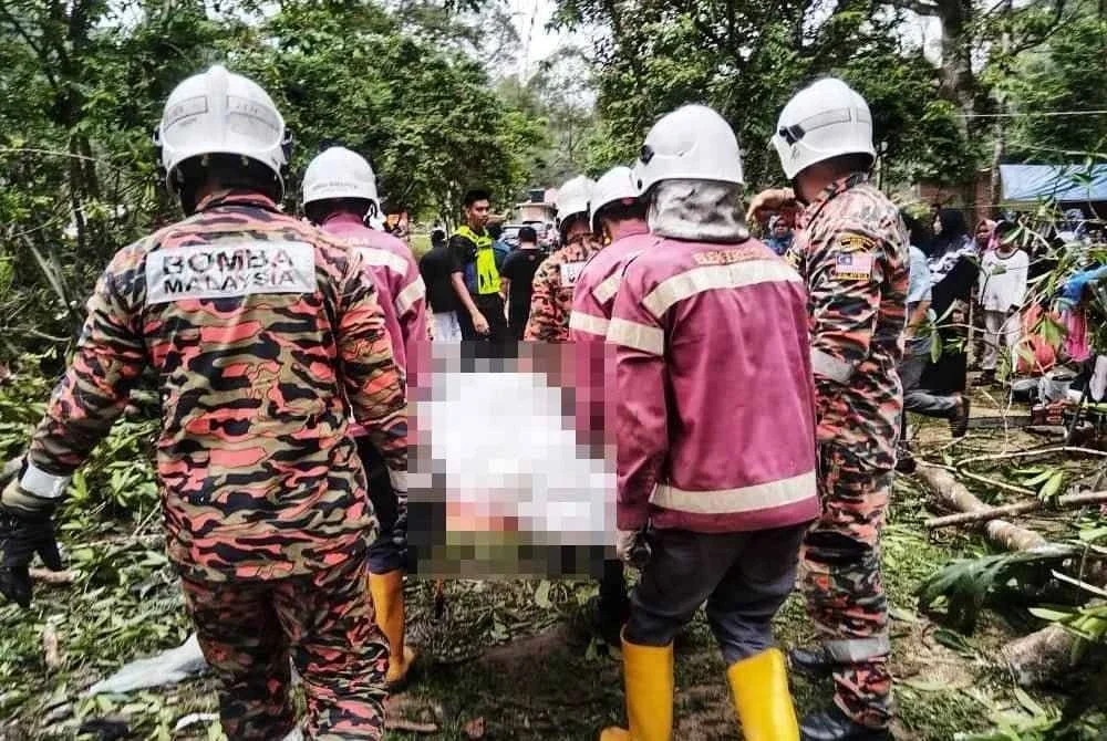 Pihak berkuasa sedang menjalankan siasatan lanjut berhubung status operasi tapak perkhemahan di Pulau Santap, Janda Baik, Bentong lokasi seorang wanita maut dihempap pokok tumbang ketika berkhemah pada Jumaat.