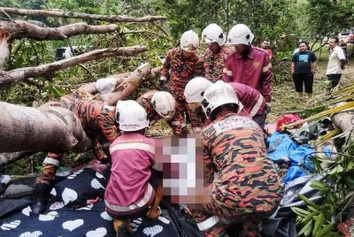 Pokok tumbang menghempap khemah menyebabkan seorang lelaki serta seorang kanak-kanak cedera, manakala seorang wanita dewasa meninggal dunia. Foto ihsan JBPM
