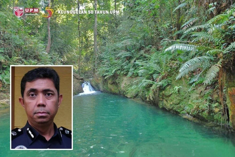 Kawasan berkenaan disimpan khas bagi pembelajaran dan penyelidikan bahagian perhutanan Universiti Putra Malaysia. Foto Facebook Universiti Putra Malaysia (Gambar kecil: Muhamad Farid)