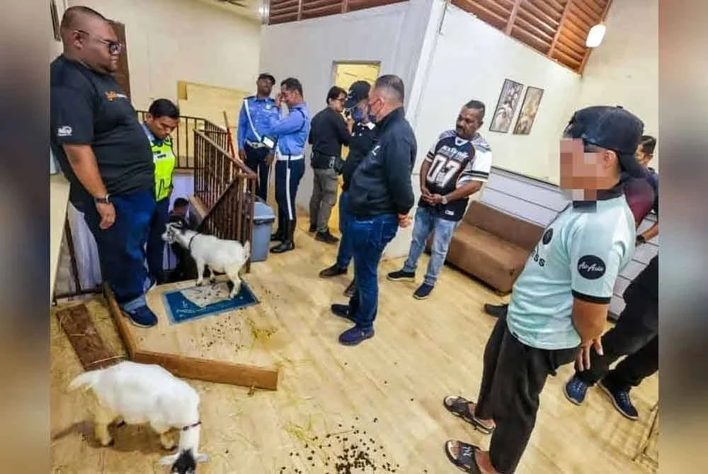 Seorang pekerja lelaki (kanan) menunjukkan 'mini zoo' di tingkat atas premis terbabit.