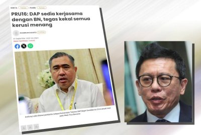 Lian Ker berkata, DAP yang dahulunya lantang menolak UMNO dan BN, kini dilihat menjadikan UMNO sebagai sekutu demi mempertahankan kerusi Parlimen yang dimenangi.