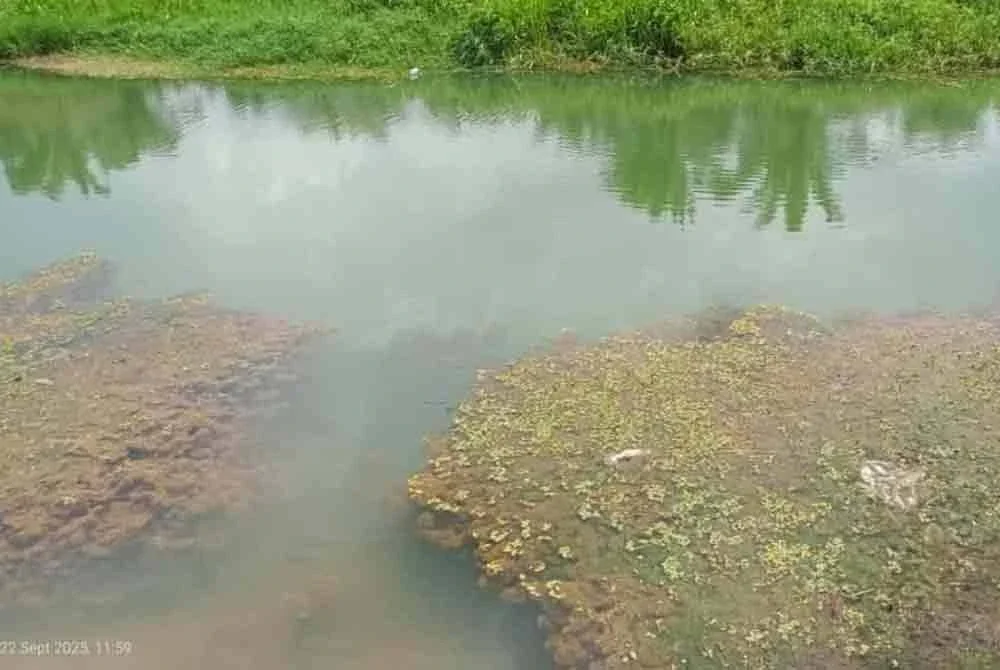 Pencemaran yang berlaku di Sungai Bekok. Foto Facebook JAS