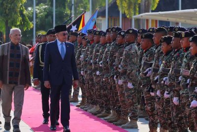 Anwar memeriksa barisan kawalan kehormat dalam majlis sambutan di Istana Presiden petang ini. Foto Bernama