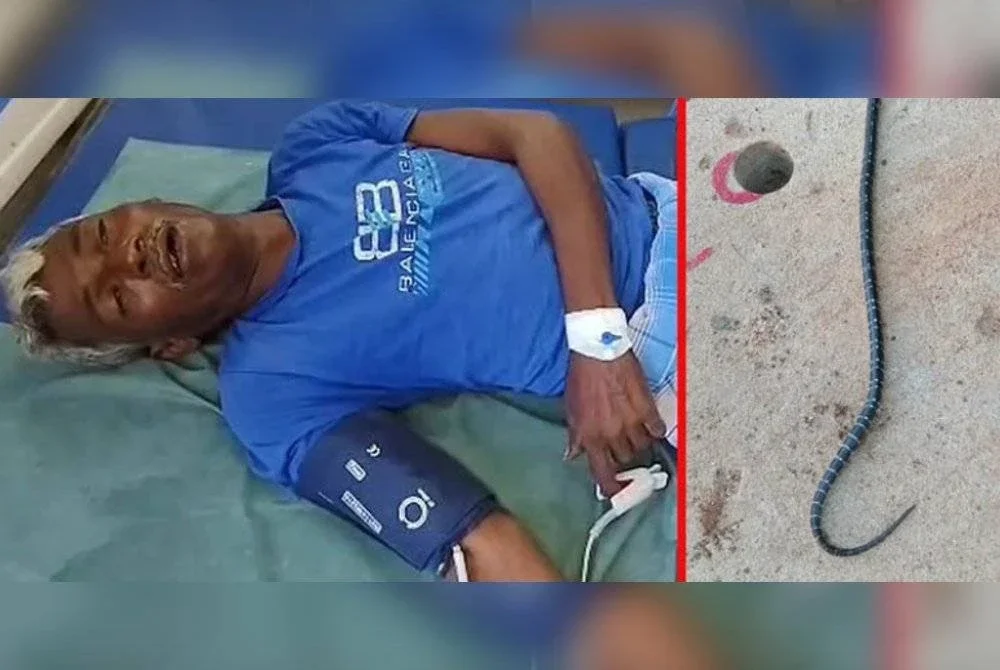 Lelaki terbabit kini sedang mendapatkan rawatan. Foto Agensi