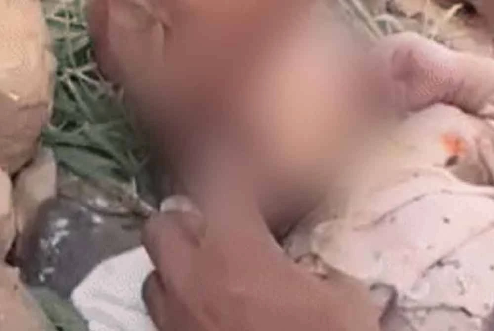 Bayi terbabit terselamat apabila ditemui seorang pengembala ternakan yang kebetulan melalui kawasan berkenaan. - Foto: Agensi