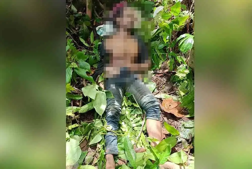 Mangsa berusia 48 tahun terselamat dan hanya mengalami cedera selepas terjatuh dari pokok setinggi kira-kira 30 meter ketika mengambil petai di Jalan Bukit Balai Raja Gunung, Kampung Perak.