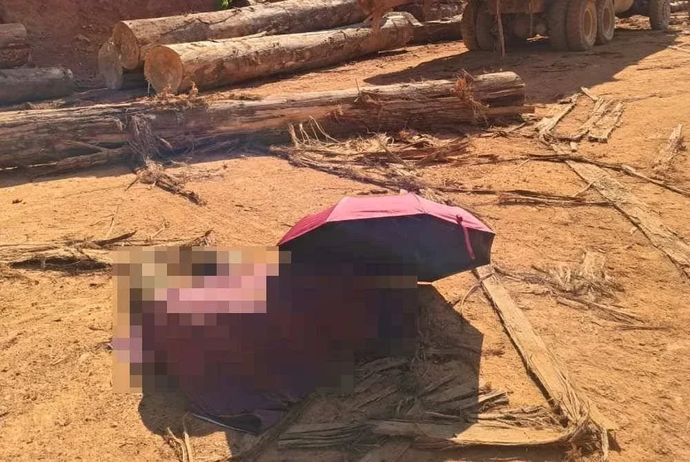 Seorang pemandu lori maut akibat ditimpa kayu balak ketika melakukan kerja di tapak pembalakan Kampung Kemat, Hulu Terengganu pada Rabu.