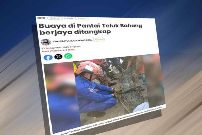 Laporan Sinar Harian pada Selasa mengenai buaya di Pantai Teluk Bahang berjaya ditangkap.
