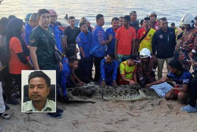 Buaya tembaga seberat 100kg berjaya ditangkap pada petang Selasa. Foto kecil: Mohd Zaide