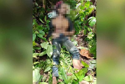 Mangsa berusia 48 tahun terselamat dan hanya mengalami cedera selepas terjatuh dari pokok setinggi kira-kira 30 meter ketika mengambil petai di Jalan Bukit Balai Raja Gunung, Kampung Perak.