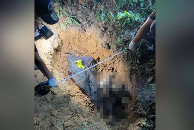 Mayat lelaki ditemui ditanam di kawasan berhampiran kebun getah di Kampung Kitung, Keningau.