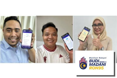 Semakan yang telah dilakukan menerusi portal rasmi disediakan kerajaan. (Gambar kecil: Mohd Khairol Nizam, Muhammad Hazeeq, Nur Asma Husna)