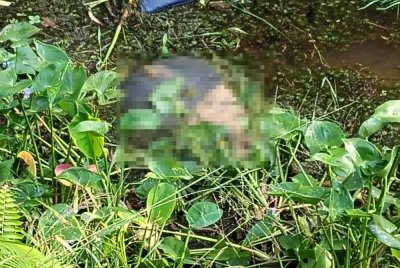 Seorang lelaki OKU ditemukan maut selepas terjatuh ke dalam parit berhampiran rumahnya di Jalan Labu Kubong, Kampung Cenderong Balai pada Jumaat. Foto JBPM Perak