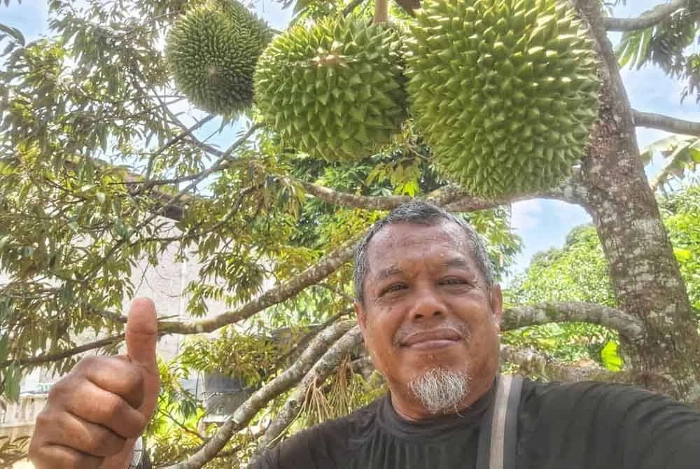 Khaidir bersama hasil durian miliknya.