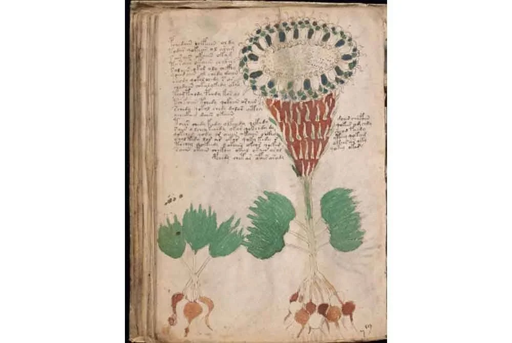 Para sarjana masih gagal menterjemahkan bahasa yang digunakan dalam manuskrip Voynich.