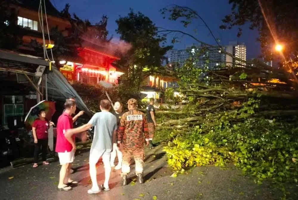 Tiga kereta dan dua motosikal rosak selepas dihempap sebatang pokok yang tumbang di Lintang Macallum 2 awal pagi Isnin.
