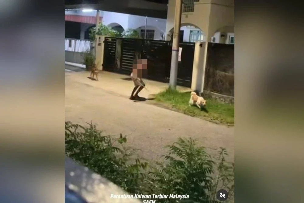 Tangkap layar video tular menunjukkan seorang lelaki mengejar dan memukul seekor anjing dengan sebatang besi di Taman Arkid, Ipoh baru-baru ini.