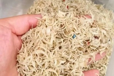 Cebisan kuku tangan seberat 1 kilogram dijual dengan harga RM98. Foto Agensi