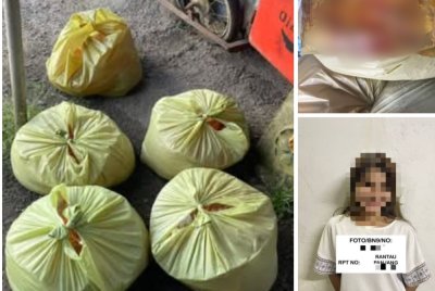 Seorang wanita ditahan PGA selepas dipercayai cuba menyeludup minyak masak peket bersubsidi ke Thailand di Kampung Bagus, Rantau Panjang pada Selasa.Foto: PGA