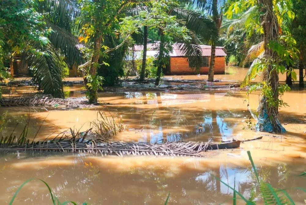Keadaan banjir di Kampung Paya Embun, Pekan Nanas.