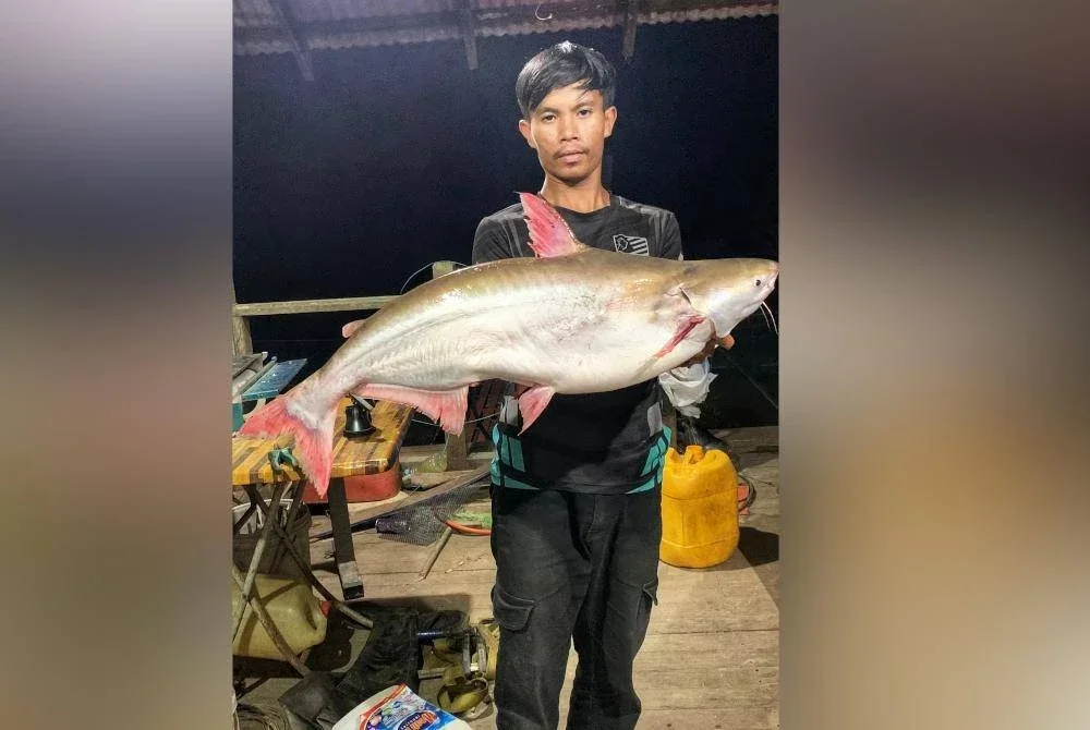 Antara hasil tangkapan Ayudin. Foto ihsan Ayudin