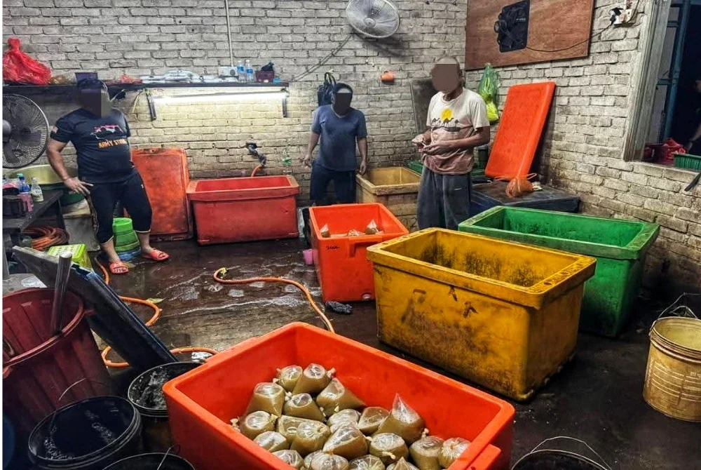 Tiga lelaki ditahan hasil pemeriksaan di sebuah rumah di Kampung Padang 2 pada Jumaat. Foto FB Briged Tenggara PGA
