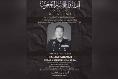 Fariz Ammar Abdullah