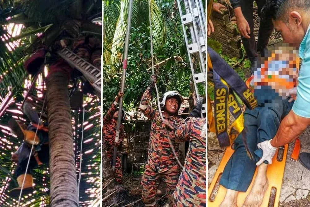 Seorang lelaki warga emas dilaporkan pengsan dan terkandas di atas pokok kelapa. - Foto: JBPM