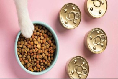 Meiri Renwu yang menggunakan nama samaran 'The Artful Cheapskate' mengakui makan makanan kucing sebagai sumber protein utama susulan kos sara hidup di Switzerland tinggi. Gambar hiasan