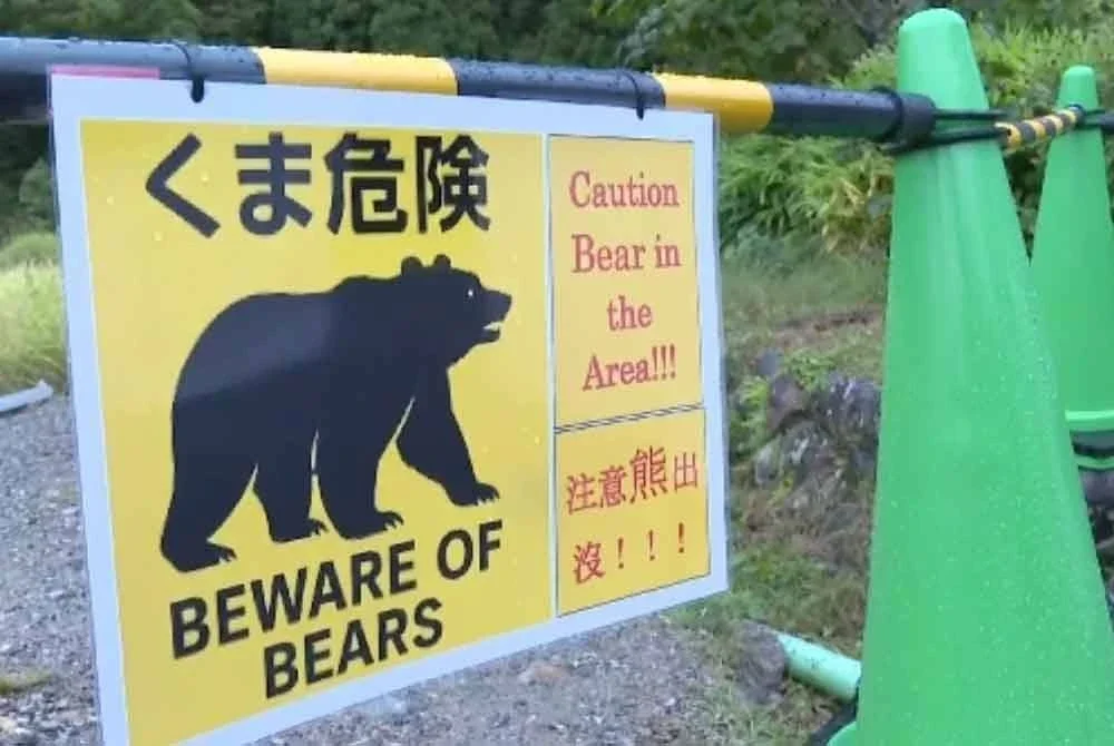 Pihak berkuasa tempatan telah menutup laluan pejalan kaki menuju ke kawasan tinjauan yang menghadap tapak Shirakawa-go - Foto: Agensi