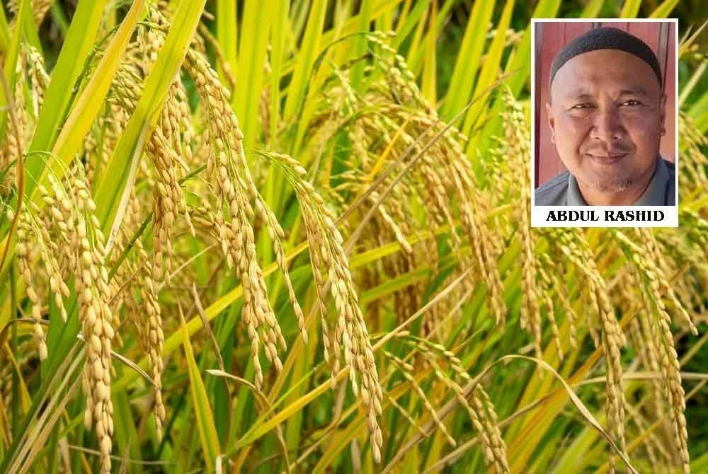 PeSAWAH menerima banyak aduan termasuk kualiti BPT yang menurun. Kredit foto: Canva