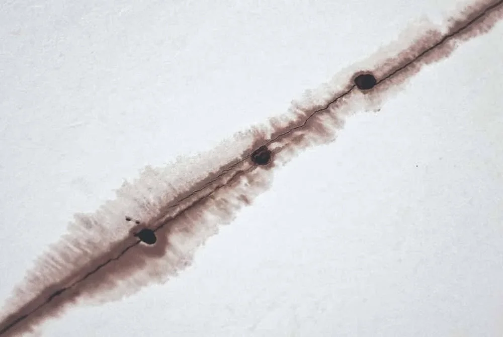 Kejadian itu terbongkar selepas seorang penghuni unit di bawah flat mangsa menyedari bau busuk serta cecair yang menitis dari siling rumahnya. Foto Shin Min Daily News