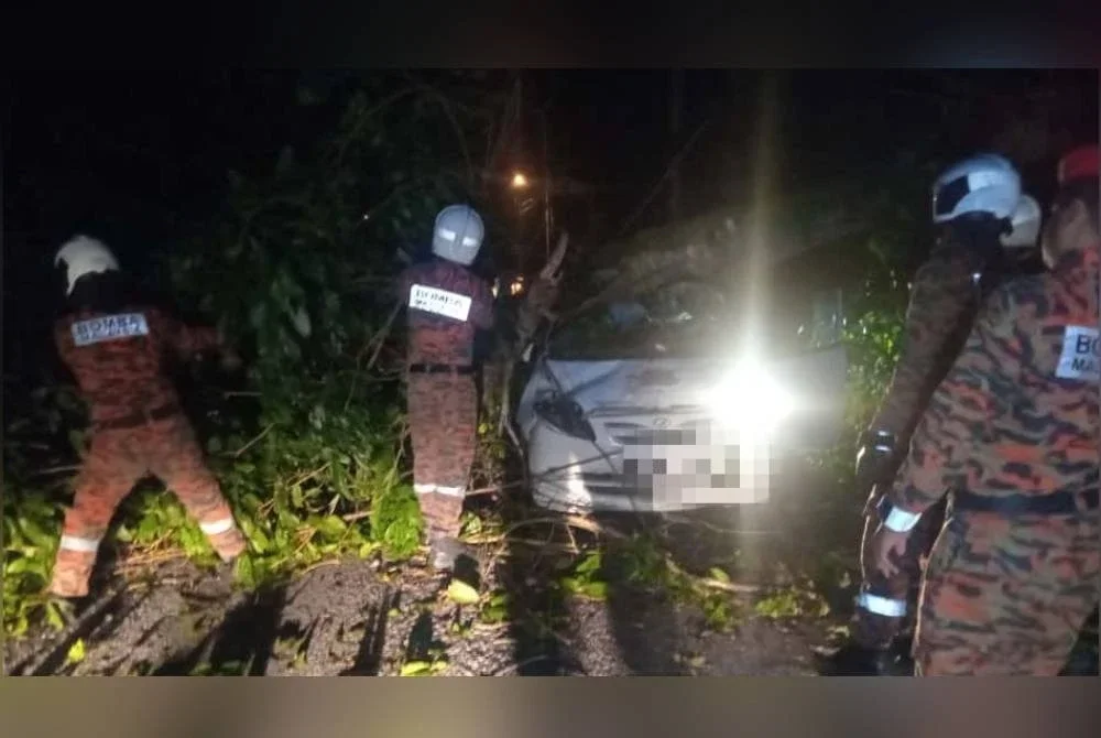 Pasukan penyelamat terlibat membantu mangsa keluar daripada kereta dihempap pokok tumbang.
