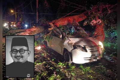 Pasukan penyelamat dalam usaha membawa keluar mangsa yang tersepit dalam kereta yang dihempap pokok tumbang. (Gambar kecil: Muhammad Nawawi)