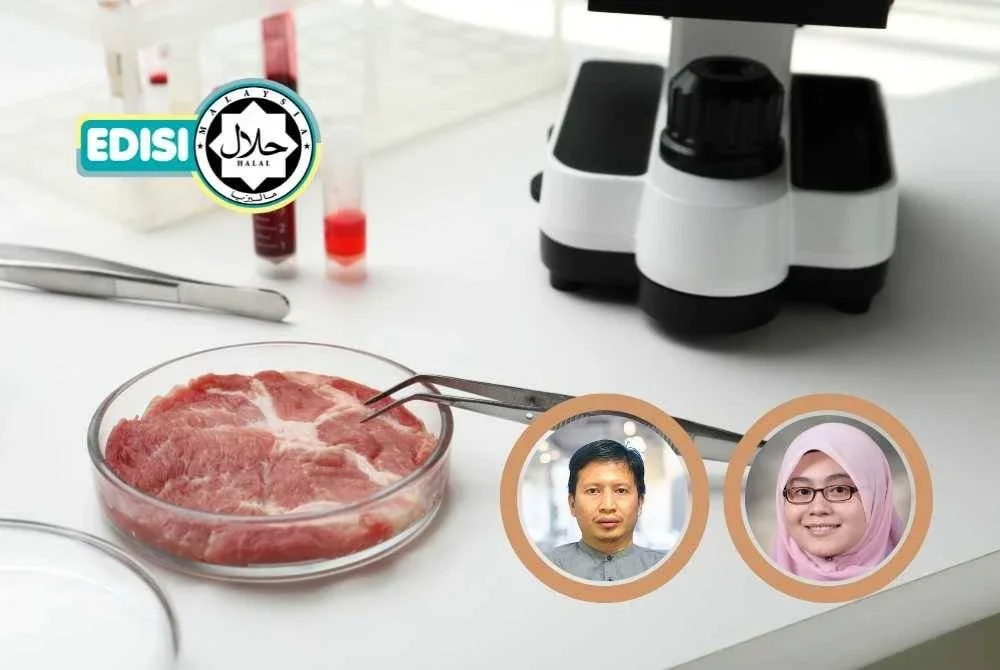 MALAYSIA memiliki kepakaran untuk membangunkan sel dasar daging kultur yang mematuhi syariah, namun memerlukan kajian lanjutan bagi mengesahkan keberkesanan serta memastikan bahan lain seperti serum dan perancah juga memenuhi syarat halal dan keselamatan. -Foto: CANVA/ Gambar kecil: DR MOHAMMAD NAQIB (kiri) dan DR HANIS HAZEERA