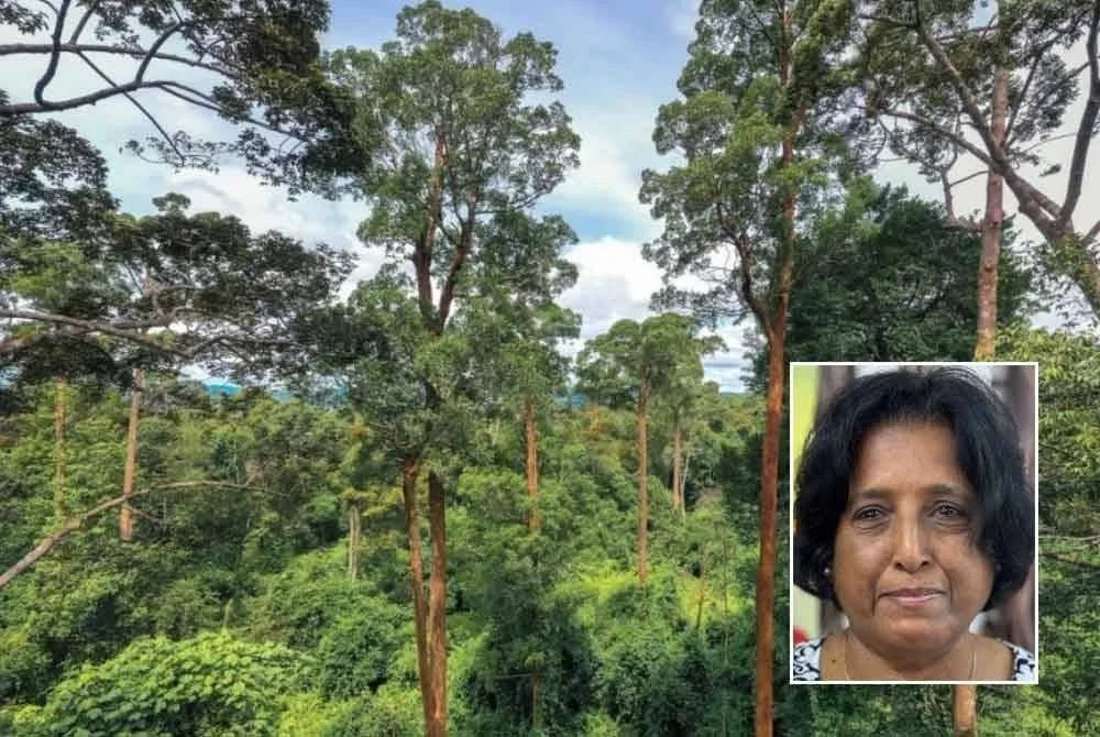 Sahabat Alam Malaysia kecewa Dana EFT kekal RM250 juta dalam Belanjawan 2026 - Gambar hiasan, gambar kecil: Meenakshi