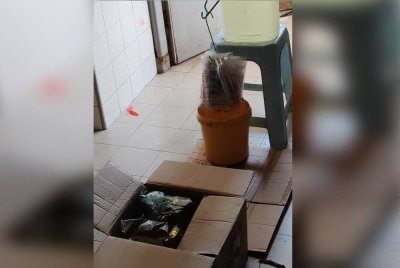 Minyak paket yang ditemukan dalam pemeriksaan itu.