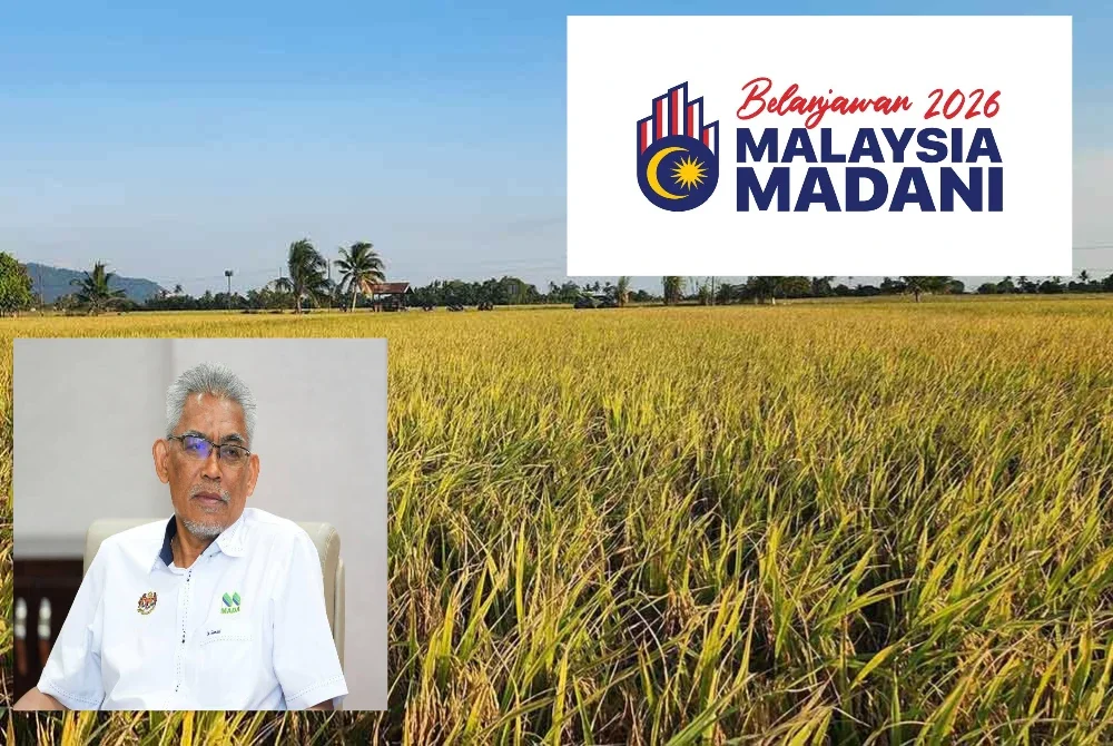 Pesawah bakal menikmati peningkatan kadar insentif pembajakan dan racun mulai tahun depan. Gambar kecil: Ismail