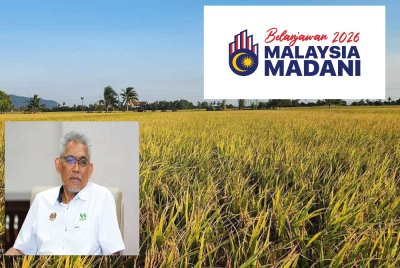 Pesawah bakal menikmati peningkatan kadar insentif pembajakan dan racun mulai tahun depan. Gambar kecil: Ismail