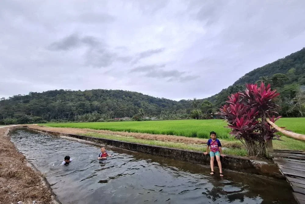 Suasana kampung yang dikelilingi sawah padi menghijau ditambah tali air jernih tempat kanak-kanak mandi manda menjadikan Homestay Labu Kubong, destinasi pelancongan desa penuh mempesona.