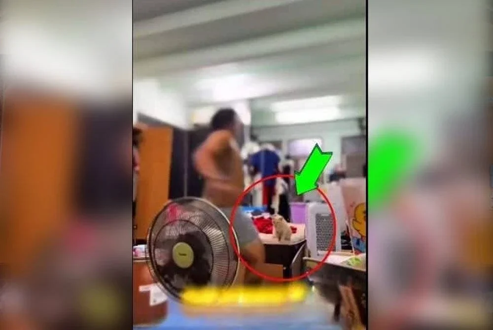 Tangkap layar tindakan pekerja syarikat produk kecantikan menendang kucing yang dikongsikan WDT di media sosial.