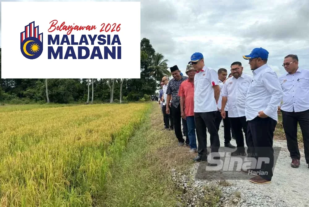 Luqman (empat dari kanan) melihat padi yang sedia untuk dituai. - Foto: SINAR HARIAN/ADILA SHARINNI WAHID