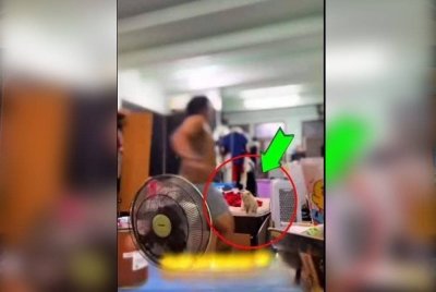 Tangkap layar tindakan pekerja syarikat produk kecantikan menendang kucing yang dikongsikan WDT di media sosial.