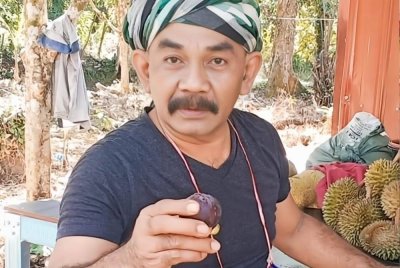 Keluarga kepada pempengaruh media sosial, Rambo Castello yang ditidurkan di Rumah Sakit Sardjito, Yogyakarta sejak 5 Oktober lalu akibat serangan jantung merayu kerajaan supaya membawa pulang individu berkenaan dengan kadar segera ke Malaysia.