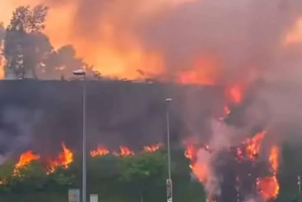 Kebakaran hutan di Setia Alam yang tular di Facebook pada Selasa.