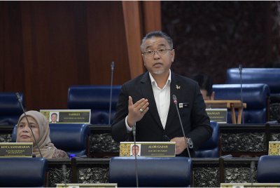 Adly bercakap pada Mesyuarat Ketiga Penggal Ketiga, Parlimen ke-15 Dewan Rakyat di Bangunan Parlimen pada Rabu. Foto Bernama