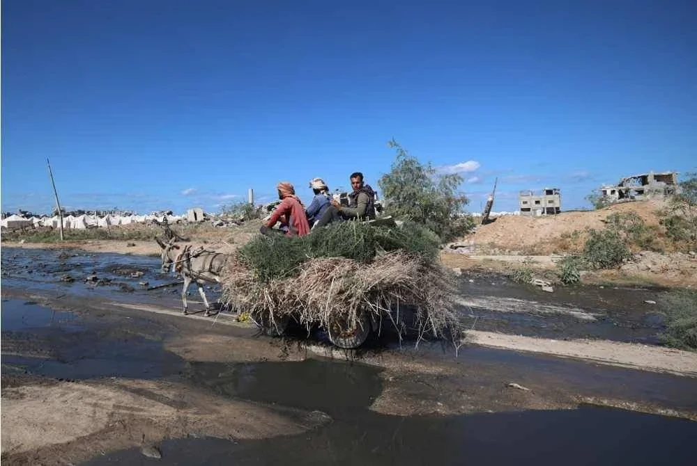 Rakyat Palestin menaiki kereta keldai melewati bangunan yang musnah ketika penduduk yang dipindahkan kembali ke rumah mereka di kawasan al-Zahra, utara kem pelarian Nuseirat di tengah Semenanjung Gaza. Foto AFP