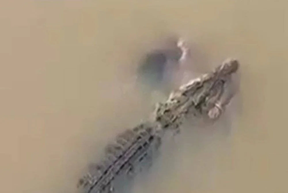 Seorang wanita maut selepas diserang buaya ketika mencuci pakaian dan peralatan dapur di Sungai Kharasrota berhampiran perkampungan Bankupala, India. Gambar hiasan