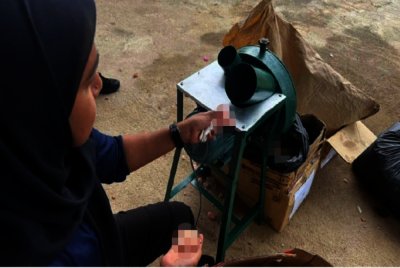 KDN melupuskan sebanyak 4,667 unit alat mainan seks seberat 5.5 tan dengan anggaran nilai RM146,000 hasil rampasan sekitar Selangor.