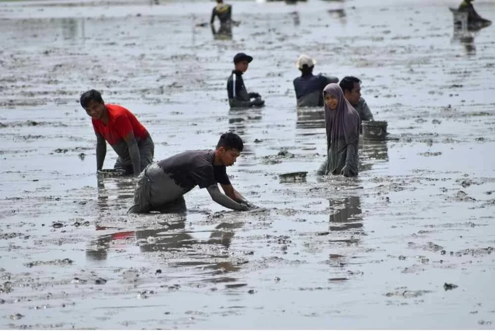Pantai Klebang menjadi tumpuan orang ramai mencari kerang selepas berita terdapat banyak makanan laut itu di kawasan berkenaan viral di media sosial. Foto Bernama
